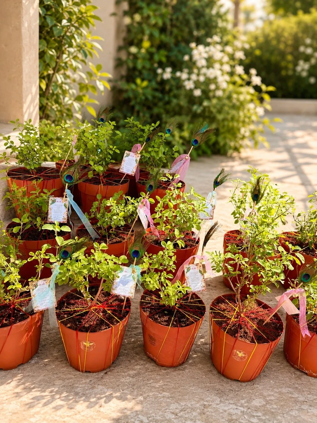 Potted Plant Gift Favors by Busybee Creations